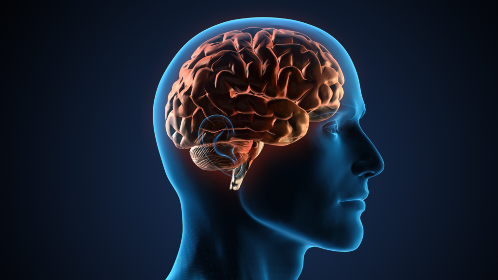Effets du sommeil profond pour le cerveau